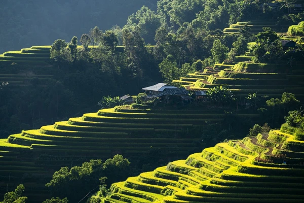 Agile project management - Agile pmo design & automation - be bolder